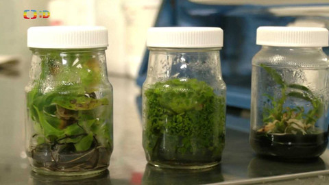 Zprávičky - 3. listopadu 2022