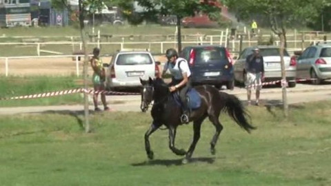 Jezdectví - CCI Brno 2015