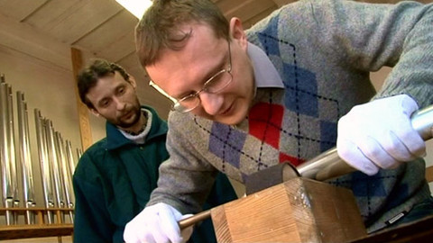 Hledám práci - 26. dubna 2011