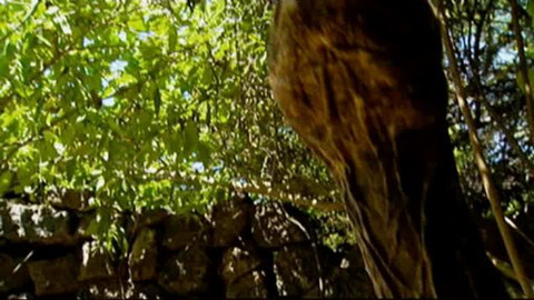 Kaleidoskop - 30. května 2010