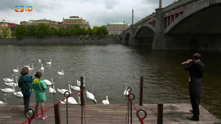 Dobrodružství s orchestrem