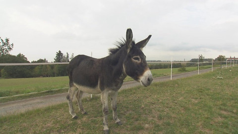 Chcete mě? - 22. října 2017