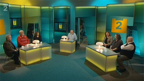 Zrcadlení - 29. ledna 2011