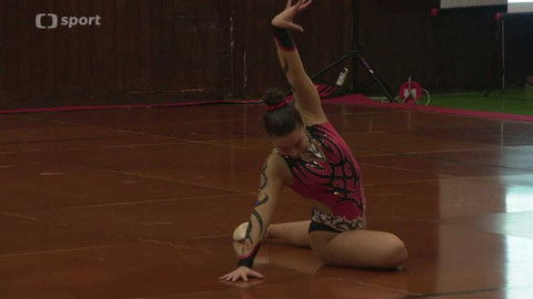 Sport v regionech - Pohár federací v aerobiku