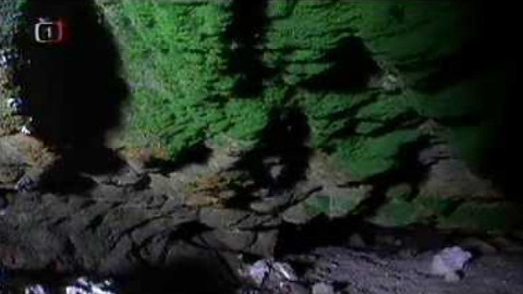 Živé srdce Evropy - Vláskatec tajemný