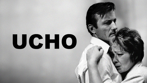 Ucho