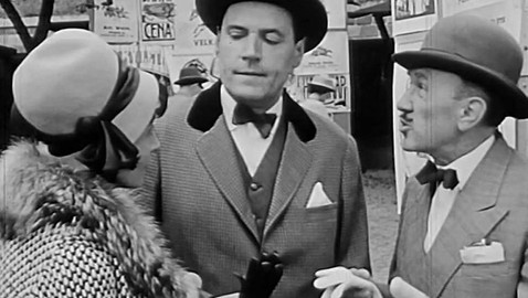 Archiv D - Sedm koní a vavříny