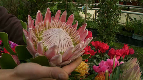 Zahrada pod lupou - 25. února 2012