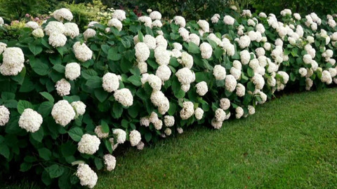 Polopatě - 26. dubna