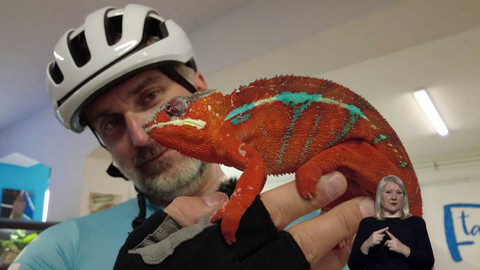 Cyklotoulky - Zemplínská šírava