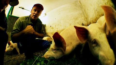 PORT - 13. října 2010