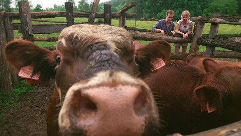 Farmářská jízda - 7/16 Býci z Kunclova mlýna