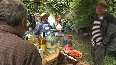 Z metropole - 5. října 2013