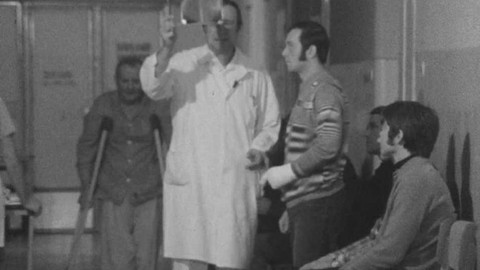 Archiv D - Kdože rány hojí?