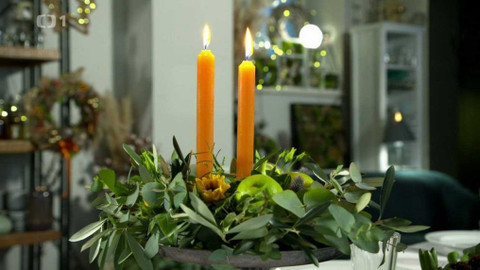 Polopatě - 10. prosince 2023