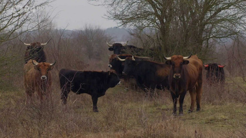 Regiony ČT24 - 25. ledna