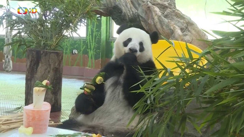 Zprávičky - 5. června 2023