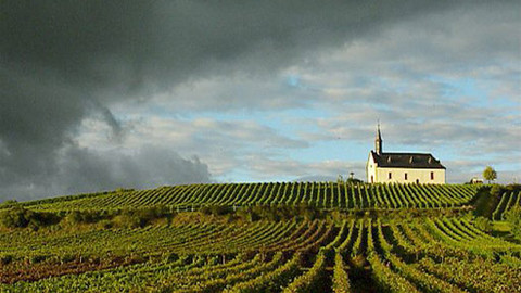 Putování za vínem - 12/16 Rheinhessen, Falc