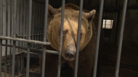 Chcete mě? - 26. listopadu 2019