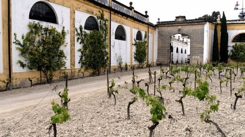 Kluci v akci - Andaluská (2)