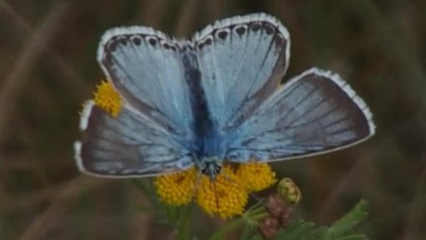 Nedej se! - Plachta u Hradce Králové