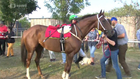 Turf - 5. října 2016