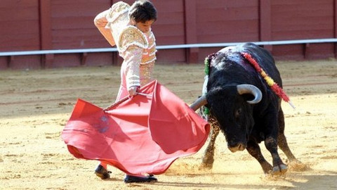 Kluci v akci - Andaluská (1)