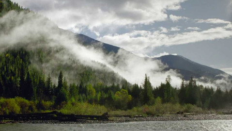 Dobrodružství vědy a techniky - Tajemný deštný prales - chráněná oblast Darkwoods