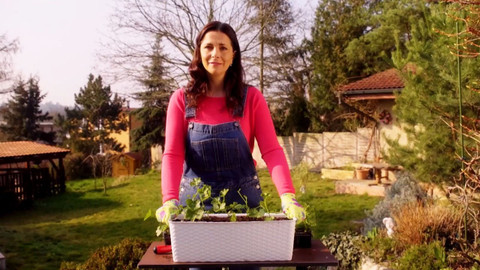 Všechno, co mám ráda - Epizoda 59/45