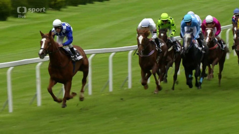 Dostihy - Velká jarní cena