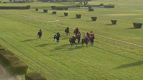 Turf - 4. listopadu 2015