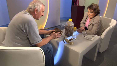 Hobby naší doby - 9. února 2013