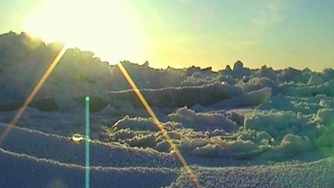 Popularis - 15. listopadu 2005