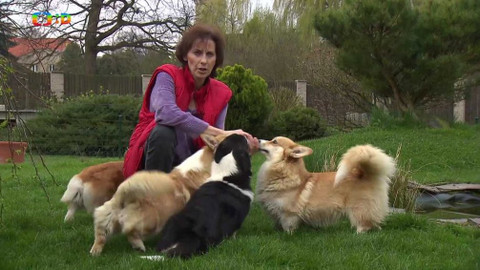 Telefon - 20. května 2016