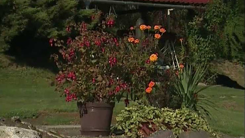 Zahrada je hra - 19. listopadu 2006