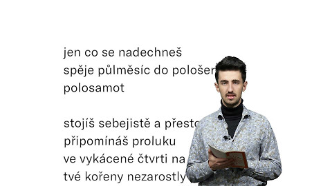 Jedna báseň - Sufian Massalema