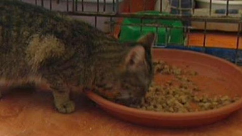 Chcete mě? - 9. března 2010