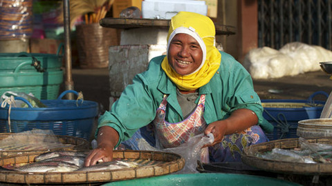 Na cestě - Na cestě po Surinu