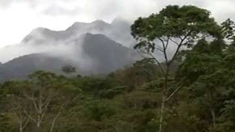 Přidej se - Amazonie 7