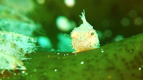 Obdivuhodný svět přírody - Národní park Širetoku