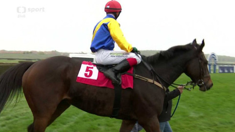 Dostihy - Cena zimního favorita