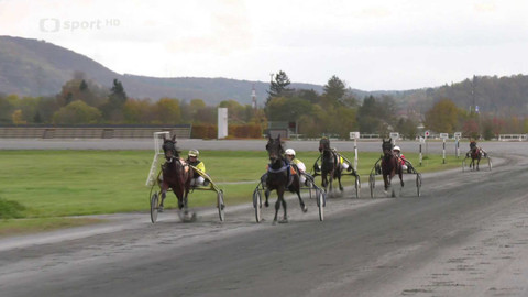 Jezdectví - Velká cena primátora hlavního města Prahy