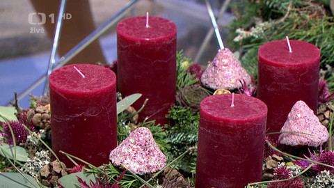 Sama doma - 2. prosince 2024