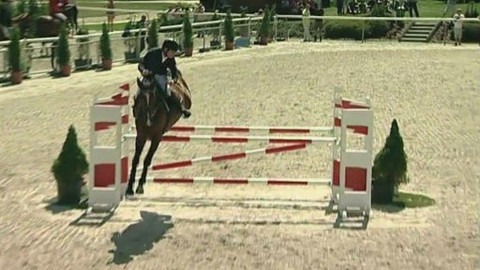 Jezdectví - Martinický šampionát mladých koní