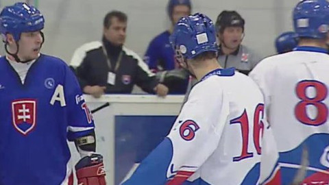 Hokejbal - Česko - Slovensko