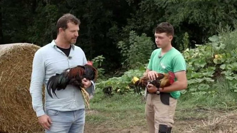 Co naše babičky uměly a na co my jsme zapomněli - U nás na dvorku