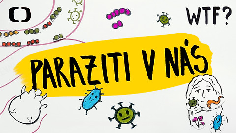 What the Fact? - Co všechno žije v našem těle?