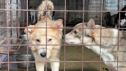 Reportéři ČT - 24. listopadu