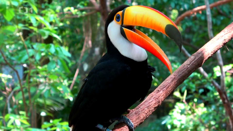 Objektiv - 7. dubna 2024