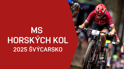 MS horských kol 2025 Švýcarsko